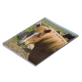 アイスランド北東部のアイスランドの馬 ノートブック (左側)