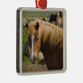 アイスランド北東部のアイスランドの馬。 メタルオーナメント (右)