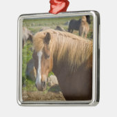 アイスランド北東部のアイスランドの馬。 メタルオーナメント (左)