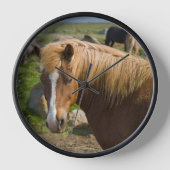 アイスランド北東部のアイスランドの馬 壁時計 (正面)