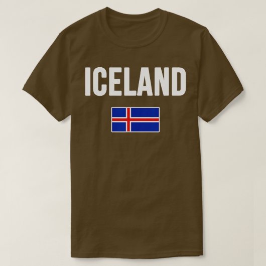 アイスランド国旗Reykjavik ravel土産Lo Tシャツ (デザイン正面)