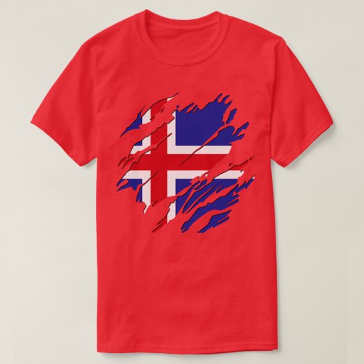アイスランド常時 Tシャツ (デザイン正面)