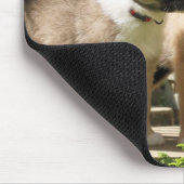 アイスランド犬の子犬 マウスパッド (コーナー)