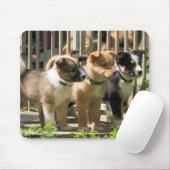 アイスランド犬の子犬 マウスパッド (マウス)