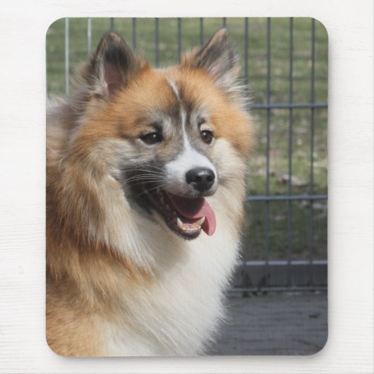 アイスランド犬 マウスパッド (正面)