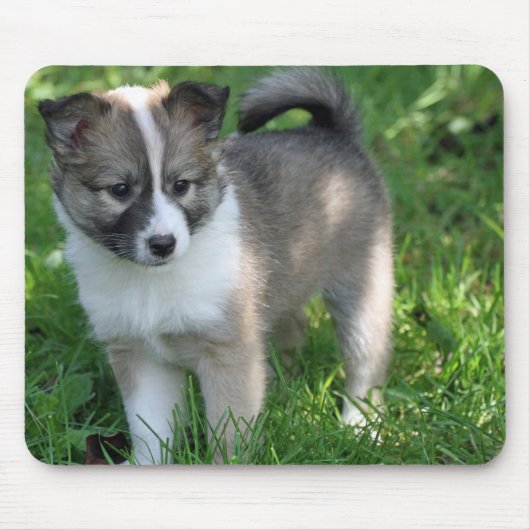 アイスランド犬 マウスパッド (正面)