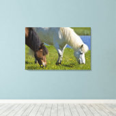 アイスランド西部のアイスランドウマ。 キャンバスプリント (インサイチュ (ウッドフロア))