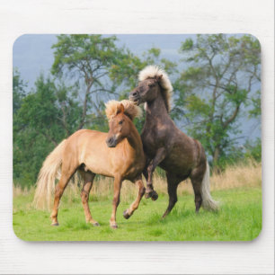 アイスランド遊の馬と育成 マウスパッド