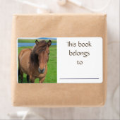アイスランド馬のブックラベル ラベル (インサイチュ)