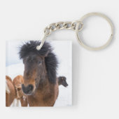 アイスランド馬の面白い肖像画 キーホルダー (裏面)