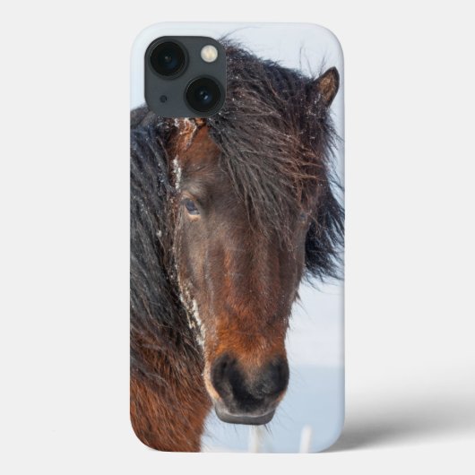 アイスランド馬の顔のアップショット Case-Mate iPhoneケース (裏面)