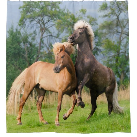 アイスランド馬の飼育シャワーカーテン シャワーカーテン (正面)