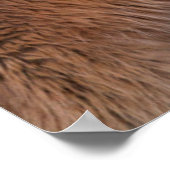 アイスランド2の冬のアイスランド馬 ポスター (角)