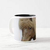 アイスランド。アイスランドのポートレート。 ツートーンマグカップ (正面左)