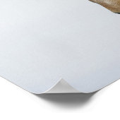 アイスランド。アイスランドのポートレート。 ポスター (角)