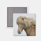 アイスランド。アイスランドのポートレート。 マグネット (正面/裏面)