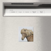 アイスランド。アイスランドのポートレート。 マグネット (インサイチュ (食洗機))