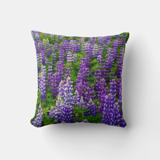 アイスランド。ビク·イ·ミルダル。ルパンの野 クッション (正面)