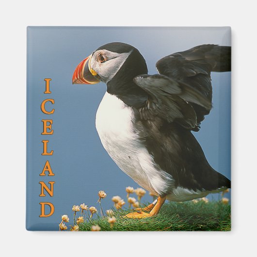 アイスランド マグネット (正面)