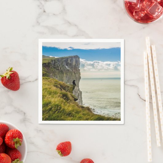 アイスランド,ラトラバジャルクリフ スタンダードカクテルナプキン (インサイチュ)