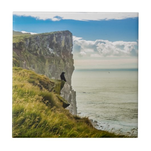 アイスランド,ラトラバジャルクリフ タイル (正面)