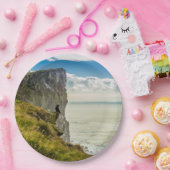 アイスランド，ラトラバジャルクリフ ペーパープレート (パーティー)