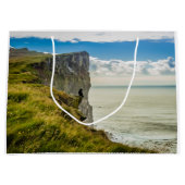 アイスランド，ラトラバジャルクリフ ラージペーパーバッグ (正面)