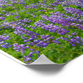 アイスランド，ヴィク ポスター (角)