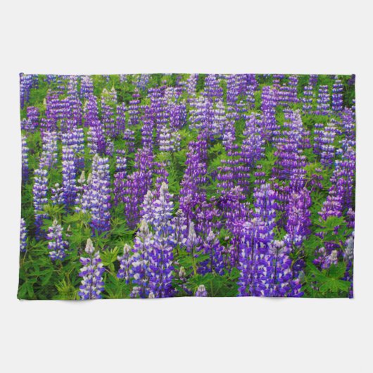 アイスランド ヴィーク・イ・ミュルダール ルピナスの花畑 キッチンタオル (横)