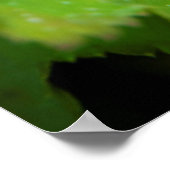 アイスランド。南の地域ガールフォス ポスター (角)