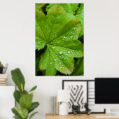 アイスランド。南の地域ガールフォス ポスター (ホームオフィス)