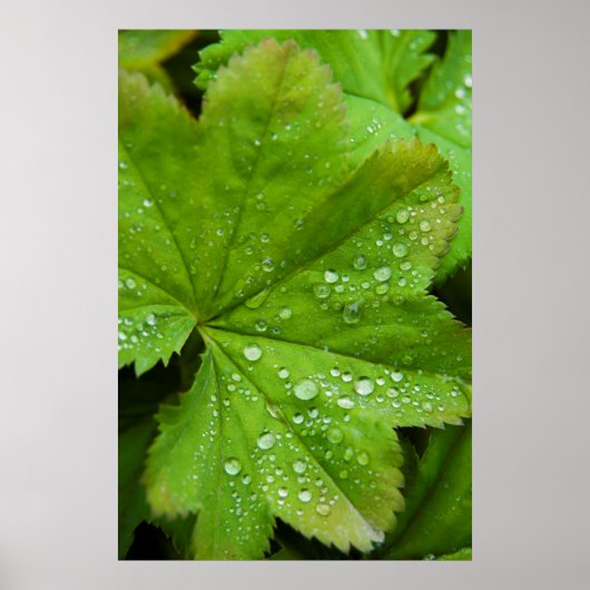 アイスランド。南の地域ガールフォス ポスター (正面)