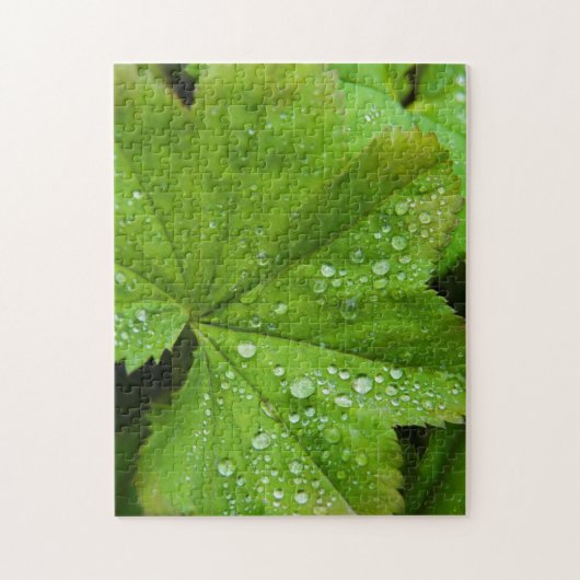 アイスランド。南地域。グルフォス ジグソーパズル (縦)