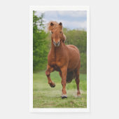 アイスラン走ドポニーおもしろいト写真馬好き (正面)