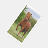 アイスラン走ドポニーおもしろいト写真馬好き (コーナー)