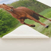 アイスラン走ドポニーおもしろいト写真馬好き シェルパブランケット (3/4)