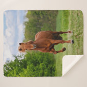 アイスラン走ドポニーおもしろいト写真馬好き シェルパブランケット (正面(横))