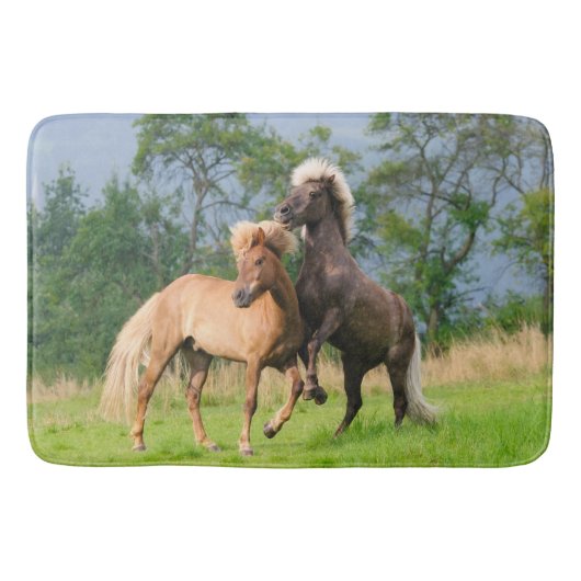 アイスラン遊ドの馬と飼育 バスマット (正面)