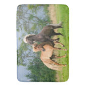 アイスラン遊ドの馬と飼育 バスマット (正面縦)