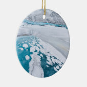 アイス凍っていランド氷河 セラミックオーナメント (右)