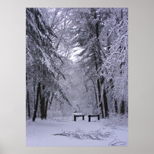 アイス大聖堂2 toプリント ポスター (正面)