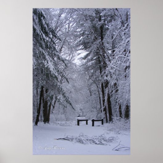 アイス大聖堂～プリント ポスター (正面)