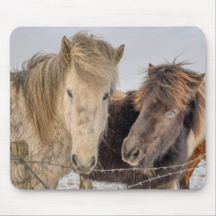 アイス威厳のあるランドの馬 マウスパッド
