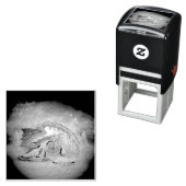 アイス素晴らしドラゴン セルフインキングスタンプ (インサイチュ)