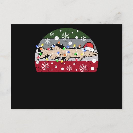 アイス魚釣りムスキークリスマスムスキーサンおもしろいタ ポストカード (正面)