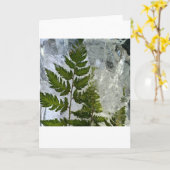 アイス・シダ カード (黄色い花)