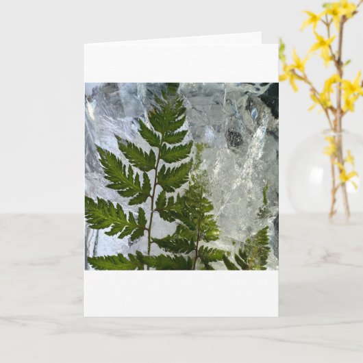 アイス・シダ カード (黄色い花)