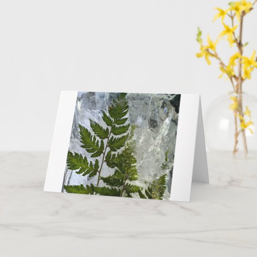 アイス・シダ カード (黄色い花)