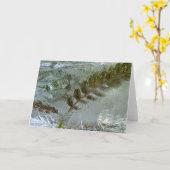 アイス・シダ カード (黄色い花)