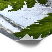 アイス・シダ ポスター (角)